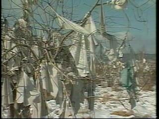 〈pict0011〉 외 다큐멘터리 스틸컷 모음 사진파일 5