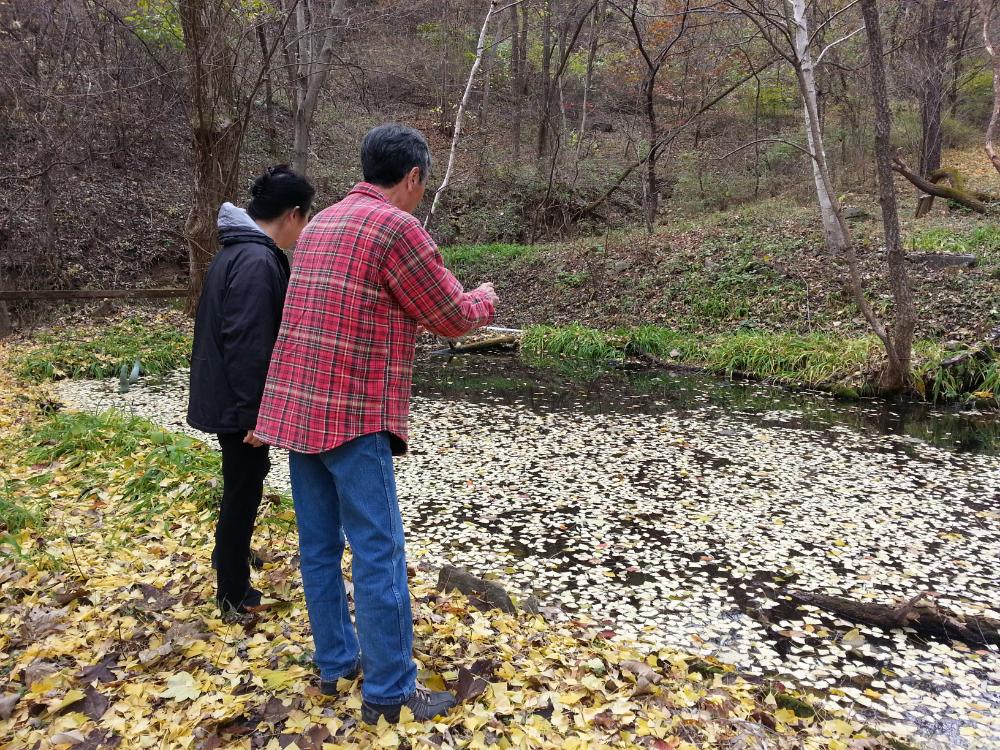 2013년 11월 9일 환기미술관에서 스캔한 김향안, 김명희, 김차섭의 여행 슬라이드 필름 사진파일 1