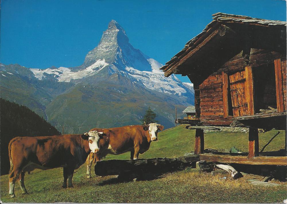 2013년 11월 9일 환기미술관에서 스캔한 김향안, 김명희, 김차섭의 여행 슬라이드 필름 사진파일 1