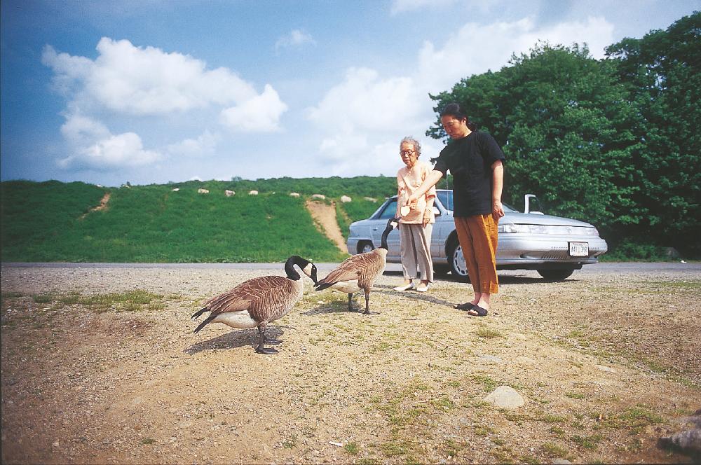 2013년 11월 9일 환기미술관에서 스캔한 김향안, 김명희, 김차섭의 여행 슬라이드 필름 사진파일 2