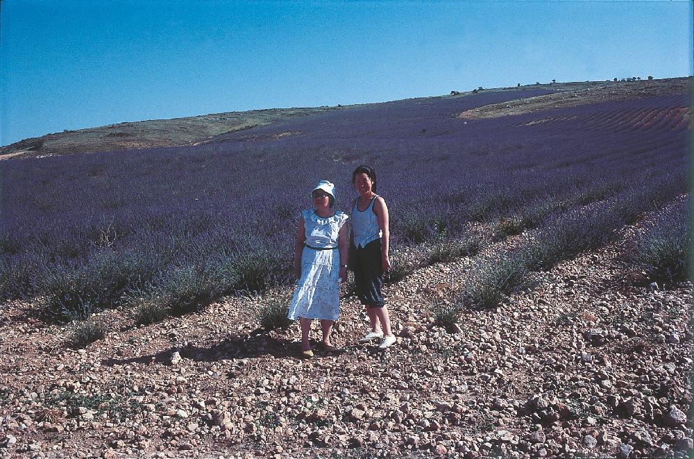 2013년 11월 9일 환기미술관에서 스캔한 김향안, 김명희, 김차섭의 여행 슬라이드 필름 사진파일 2