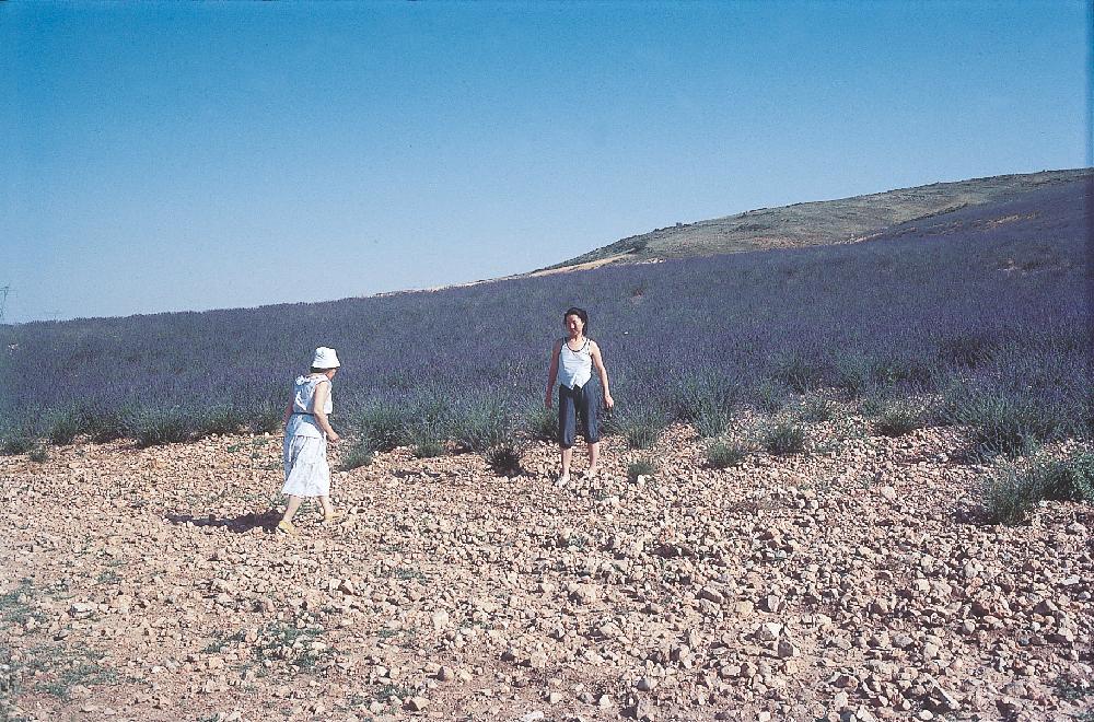 2013년 11월 9일 환기미술관에서 스캔한 김향안, 김명희, 김차섭의 여행 슬라이드 필름 사진파일 2