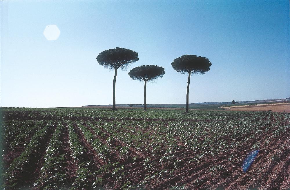 2013년 11월 9일 환기미술관에서 스캔한 김향안, 김명희, 김차섭의 여행 슬라이드 필름 사진파일 2