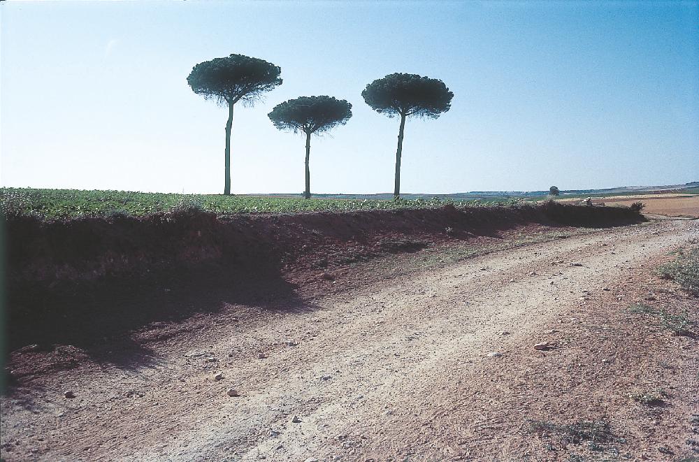 2013년 11월 9일 환기미술관에서 스캔한 김향안, 김명희, 김차섭의 여행 슬라이드 필름 사진파일 2