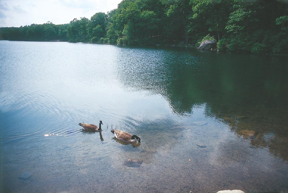 2013년 11월 9일 환기미술관에서 스캔한 김향안, 김명희, 김차섭의 여행 슬라이드 필름 사진파일 2