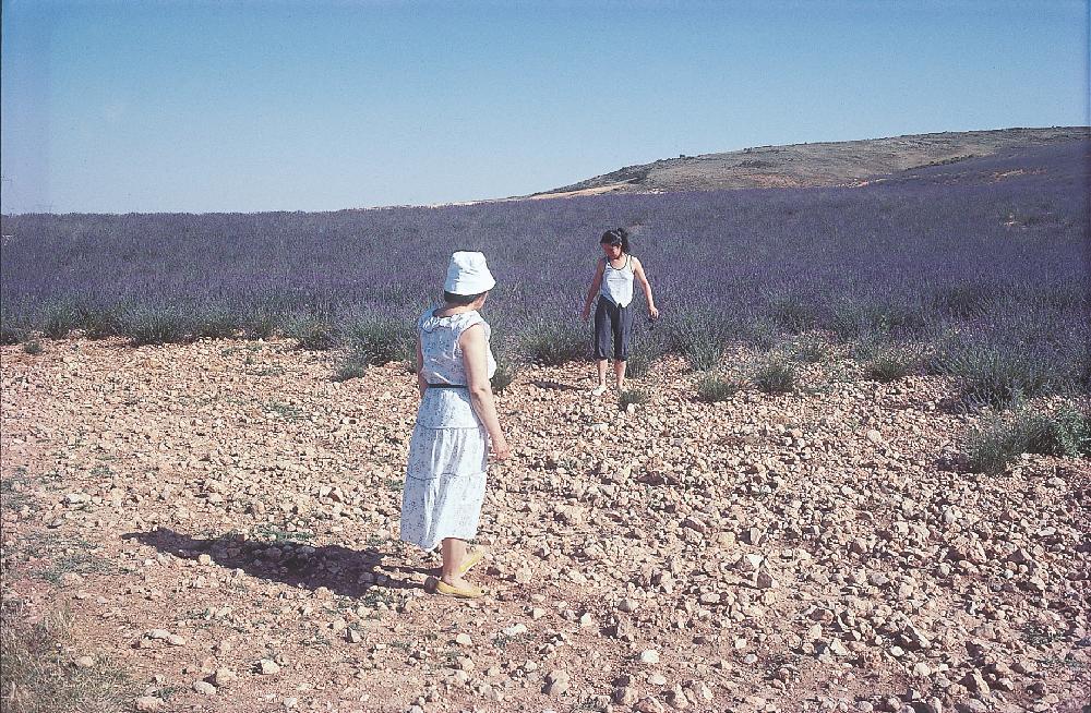 2013년 11월 9일 환기미술관에서 스캔한 김향안, 김명희, 김차섭의 여행 슬라이드 필름 사진파일 2