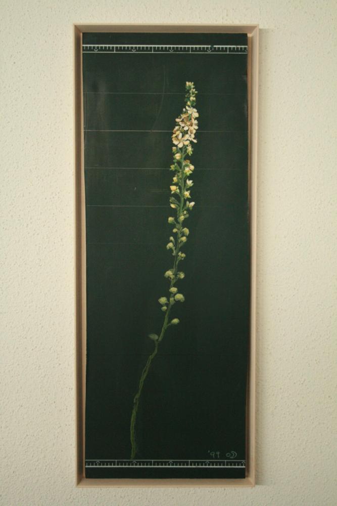 2007년 통인옥션갤러리 《김명희 전(展)》 작품 및 전시 전경 사진파일