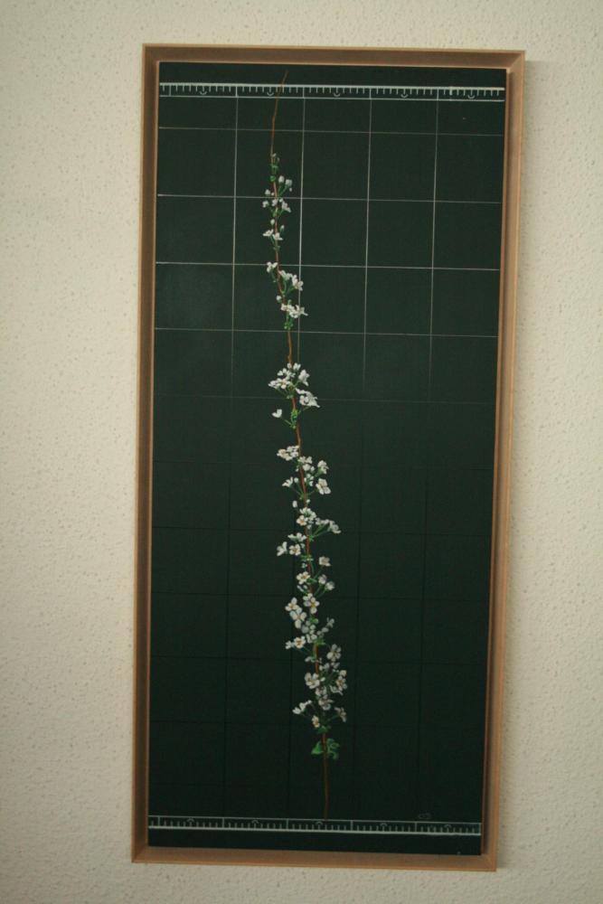 2007년 통인옥션갤러리 《김명희 전(展)》 작품 및 전시 전경 사진파일