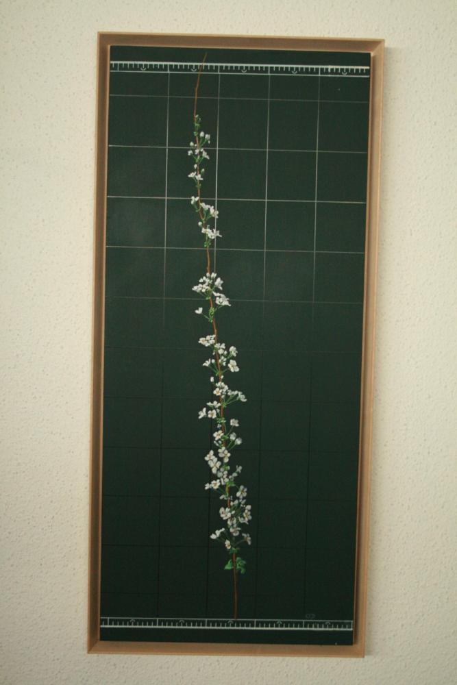 2007년 통인옥션갤러리 《김명희 전(展)》 작품 및 전시 전경 사진파일