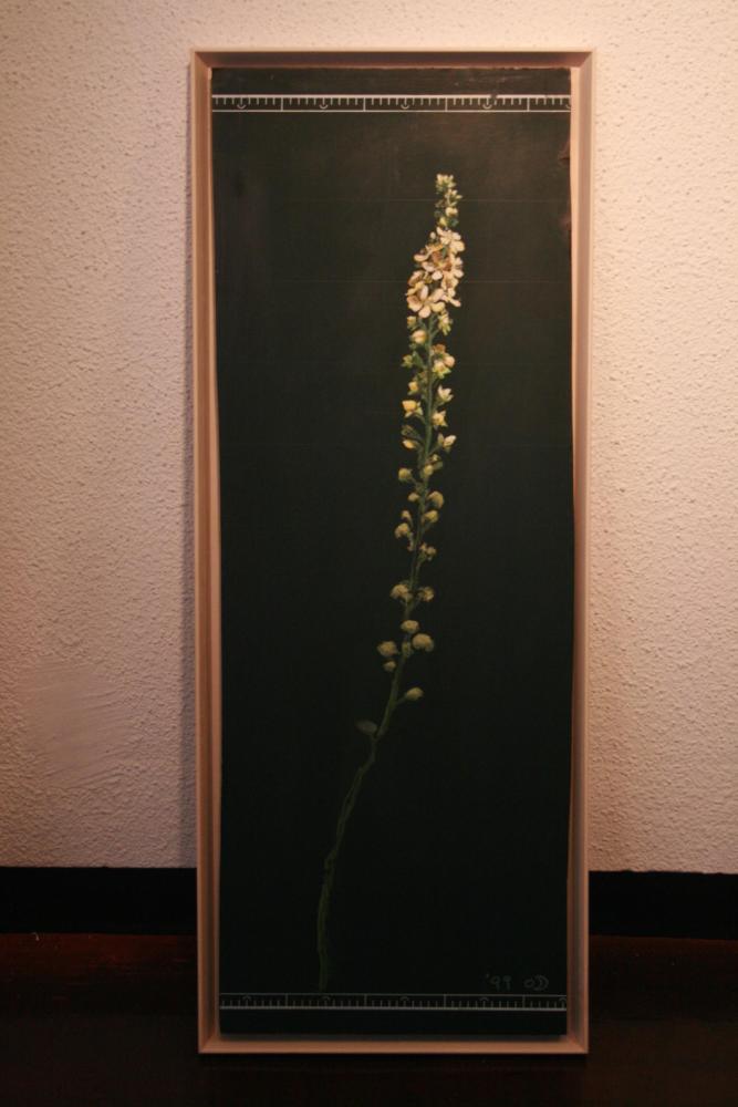 2007년 통인옥션갤러리 《김명희 전(展)》 작품 및 전시 전경 사진파일