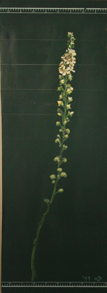 2007년 통인옥션갤러리 《김명희 전(展)》 작품 및 전시 전경 사진파일