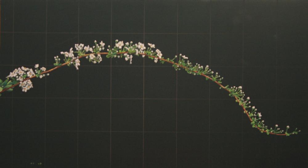 2007년 통인옥션갤러리 《김명희 전(展)》 작품 및 전시 전경 사진파일