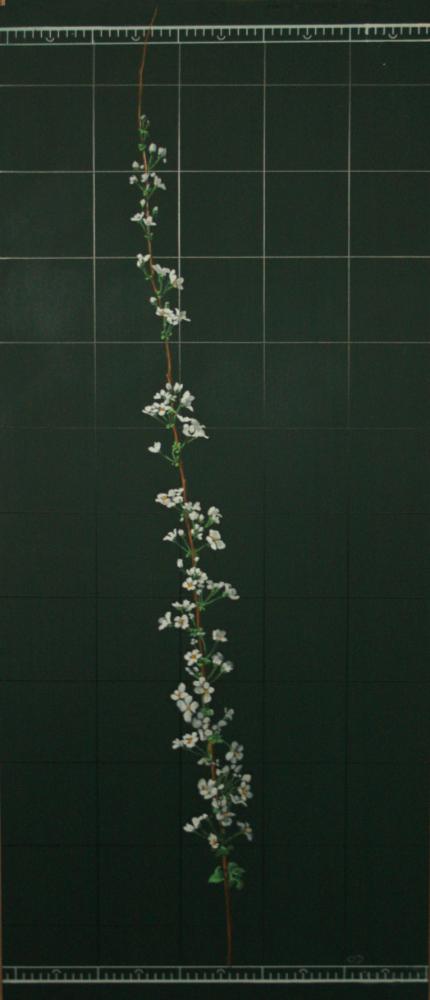 2007년 통인옥션갤러리 《김명희 전(展)》 작품 및 전시 전경 사진파일