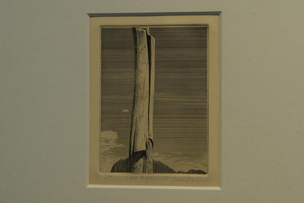 2009년 《제9회 이인성미술상 수상작가 김차섭 초대전》 작품 사진