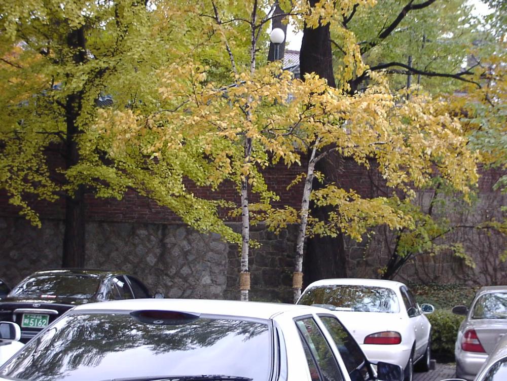 2002년 11월 9일 〈제14회 이중섭 미술상〉 시상식 사진파일