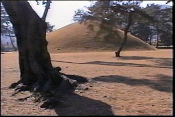 2003년 갤러리현대 김명희 개인전 《流轉(유전)의 역동성(Dynamics of Dislocation)》 전시 작품 중 비디오 스틸컷 사진파일