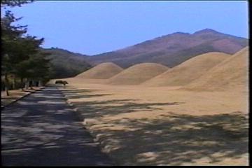 2003년 갤러리현대 김명희 개인전 《流轉(유전)의 역동성(Dynamics of Dislocation)》 전시 작품 중 비디오 스틸컷 사진파일