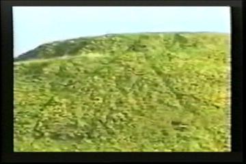 2003년 갤러리현대 김명희 개인전 《流轉(유전)의 역동성(Dynamics of Dislocation)》 전시 작품 중 비디오 스틸컷 사진파일