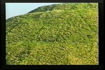 2003년 갤러리현대 김명희 개인전 《流轉(유전)의 역동성(Dynamics of Dislocation)》 전시 작품 중 비디오 스틸컷 사진파일