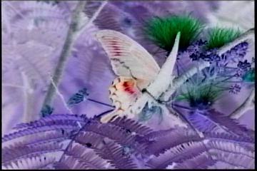 2003년 갤러리현대 김명희 개인전 《流轉(유전)의 역동성(Dynamics of Dislocation)》 전시 작품 중 비디오 스틸컷 사진파일