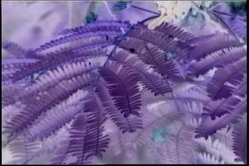 2003년 갤러리현대 김명희 개인전 《流轉(유전)의 역동성(Dynamics of Dislocation)》 전시 작품 중 비디오 스틸컷 사진파일