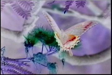 2003년 갤러리현대 김명희 개인전 《流轉(유전)의 역동성(Dynamics of Dislocation)》 전시 작품 중 비디오 스틸컷 사진파일