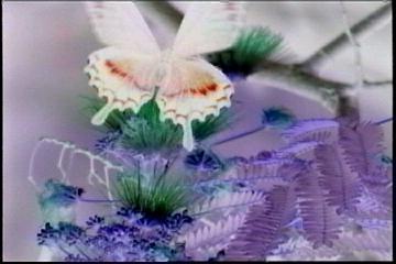 2003년 갤러리현대 김명희 개인전 《流轉(유전)의 역동성(Dynamics of Dislocation)》 전시 작품 중 비디오 스틸컷 사진파일