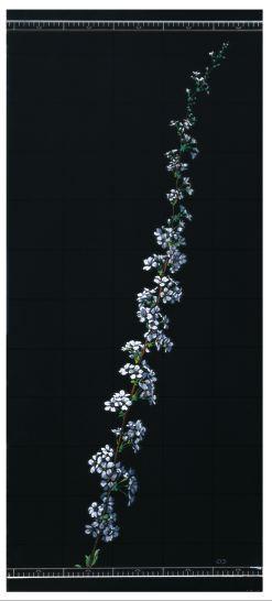 2004년부터 2005년까지 작품 및 개인 사진파일