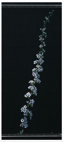 2004년부터 2005년까지 작품 및 개인 사진파일