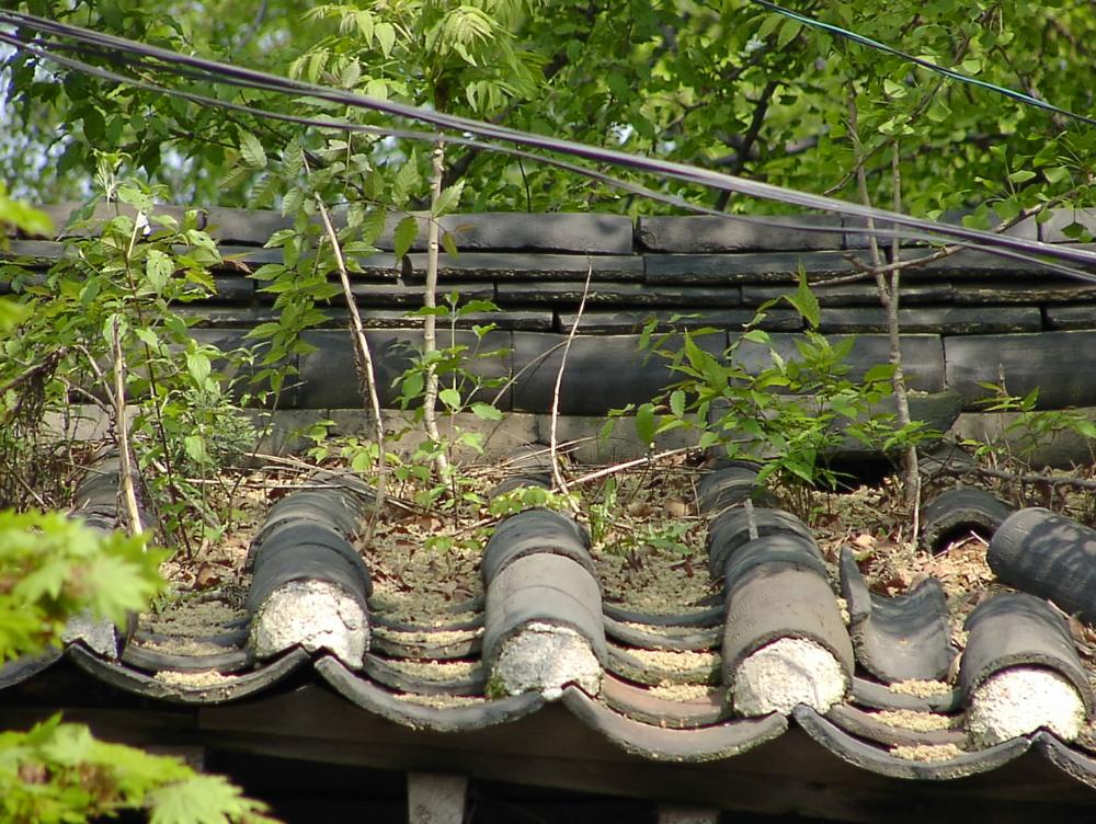 2003년 갤러리현대 김명희 개인전 《流轉(유전)의 역동성(Dynamics of Dislocation)》 사진파일 8