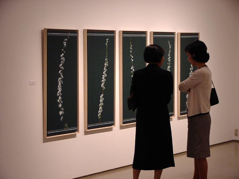 2003년 갤러리현대 김명희 개인전 《流轉(유전)의 역동성(Dynamics of Dislocation)》 사진파일