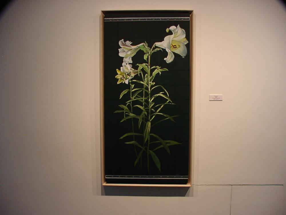 2003년 갤러리현대 김명희 개인전 《流轉(유전)의 역동성(Dynamics of Dislocation)》 사진파일