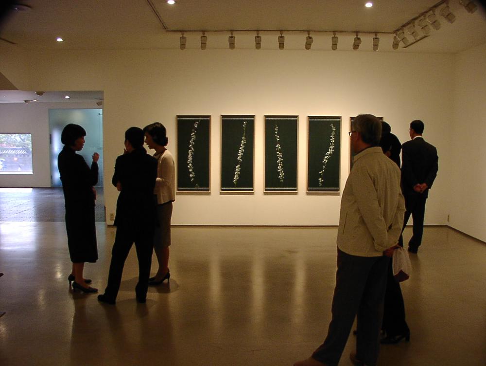 2003년 갤러리현대 김명희 개인전 《流轉(유전)의 역동성(Dynamics of Dislocation)》 사진파일