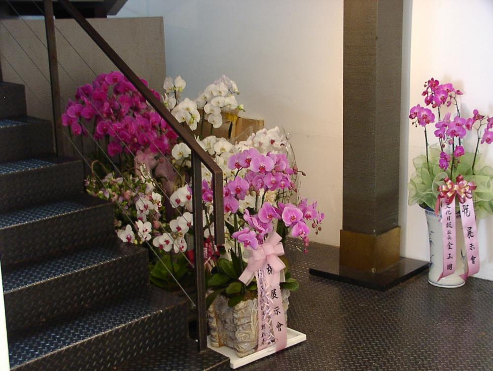 2003년 갤러리현대 김명희 개인전 《流轉(유전)의 역동성(Dynamics of Dislocation)》 사진파일