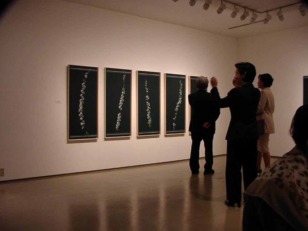 2003년 갤러리현대 김명희 개인전 《流轉(유전)의 역동성(Dynamics of Dislocation)》 사진파일