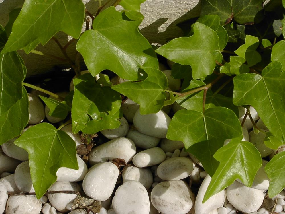 2003년 갤러리현대 김명희 개인전 《流轉(유전)의 역동성(Dynamics of Dislocation)》 사진파일