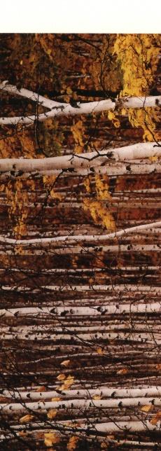 러시아 고려인 강제이주 관련 다큐멘터리 영상 스틸컷 사진파일