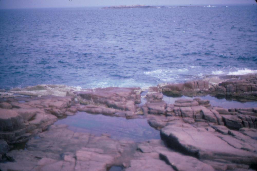 미국 동북부여행 슬라이드 필름
