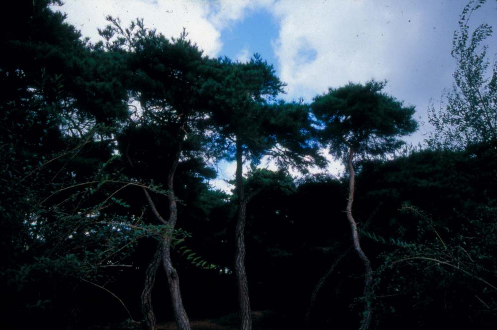 1970년부터 1987년까지 김명희 김차섭 경주여행 슬라이드 필름