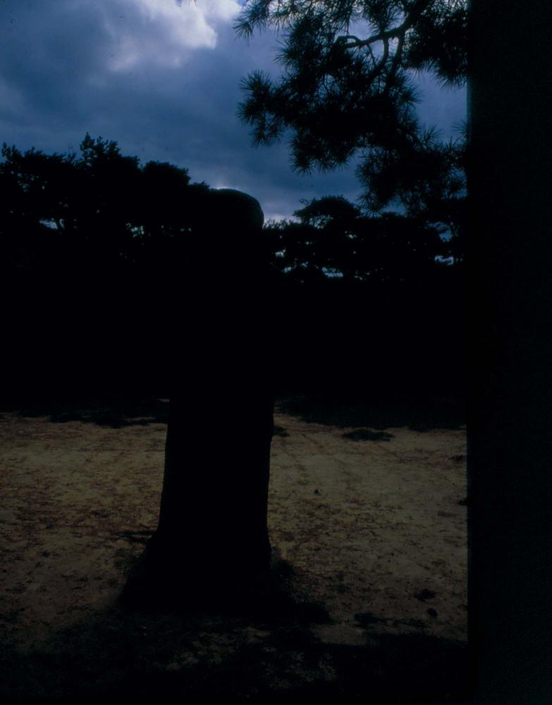 1970년부터 1987년까지 김명희 김차섭 경주여행 슬라이드 필름