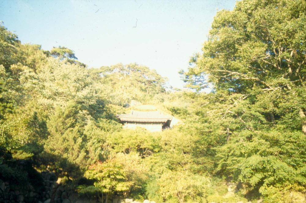 1970년부터 1987년까지 김명희 김차섭 경주여행 슬라이드 필름