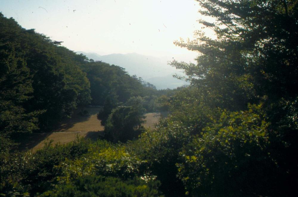 1970년부터 1987년까지 김명희 김차섭 경주여행 슬라이드 필름
