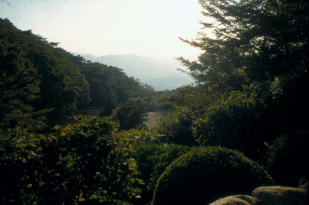 1970년부터 1987년까지 김명희 김차섭 경주여행 슬라이드 필름