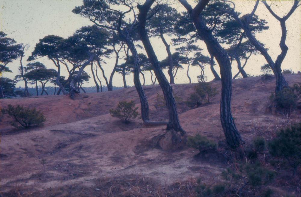 1970년부터 1987년까지 김명희 김차섭 경주여행 슬라이드 필름