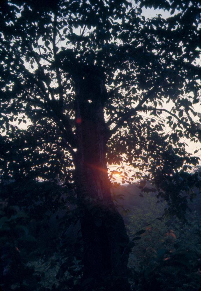 1970년부터 1987년까지 김명희 김차섭 경주여행 슬라이드 필름