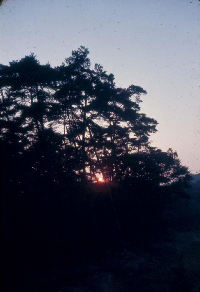 1970년부터 1987년까지 김명희 김차섭 경주여행 슬라이드 필름