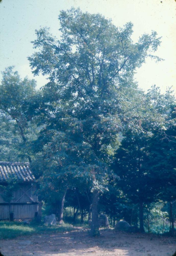 1970년부터 1987년까지 김명희 김차섭 경주여행 슬라이드 필름
