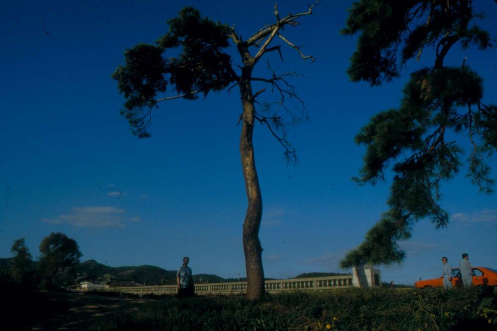 1984년 옥산서원 여행, 1987년 김차섭 한국미술관 개인전 슬라이드 필름