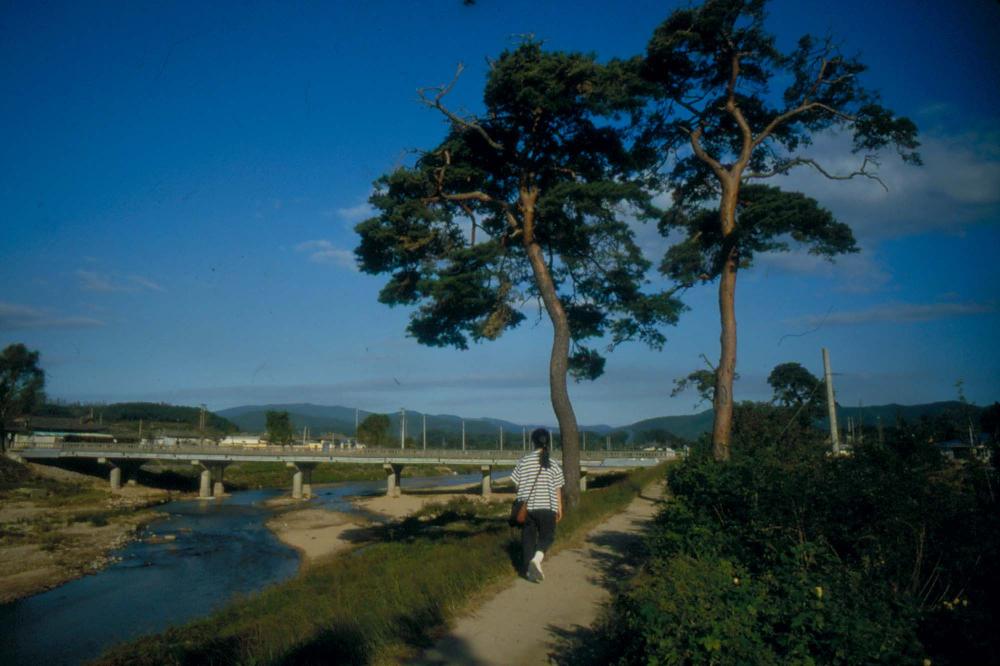 1984년 옥산서원 여행, 1987년 김차섭 한국미술관 개인전 슬라이드 필름