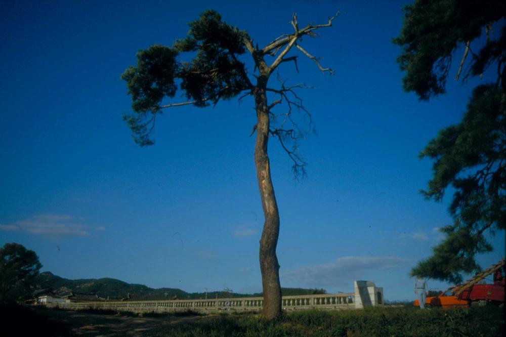 1984년 옥산서원 여행, 1987년 김차섭 한국미술관 개인전 슬라이드 필름
